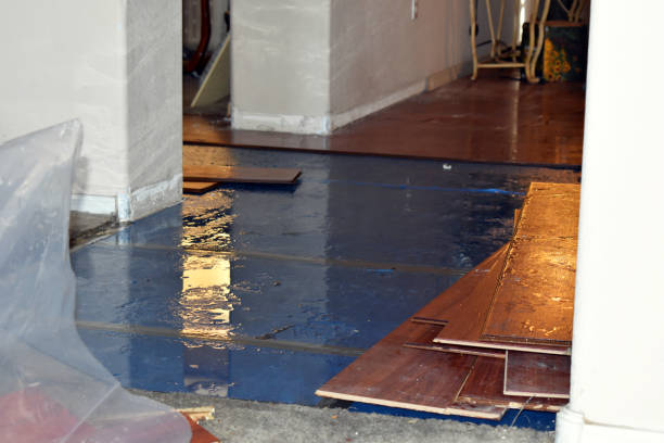 Professional Basement Flood Cleanup technician working in Cochranton, PA